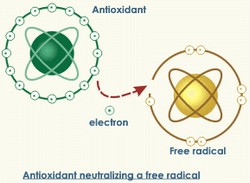 Схема Схема