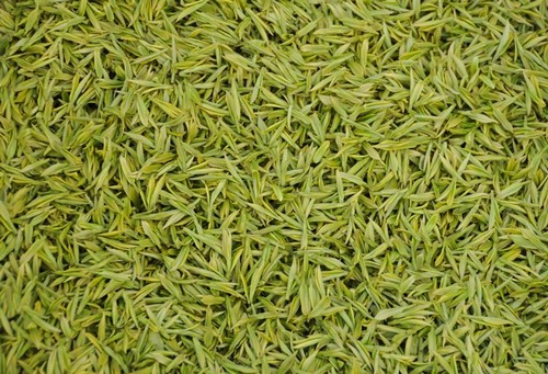 Почки чая Аньцзи Байча Почки чая Аньцзи Байча