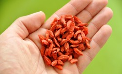 Ягоды годжи в сушеном виде Ягоды годжи в сушеном виде