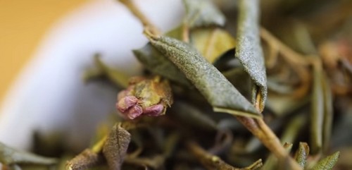 Листик саган-дайля Листик саган-дайля